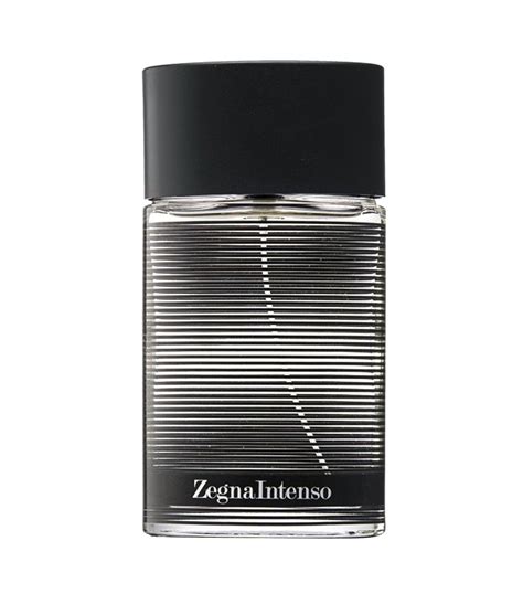 intenso ermenegildo zegna